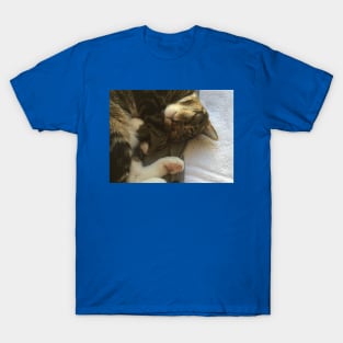 Henry Cat the Cutest Cat Sleeping T-Shirt